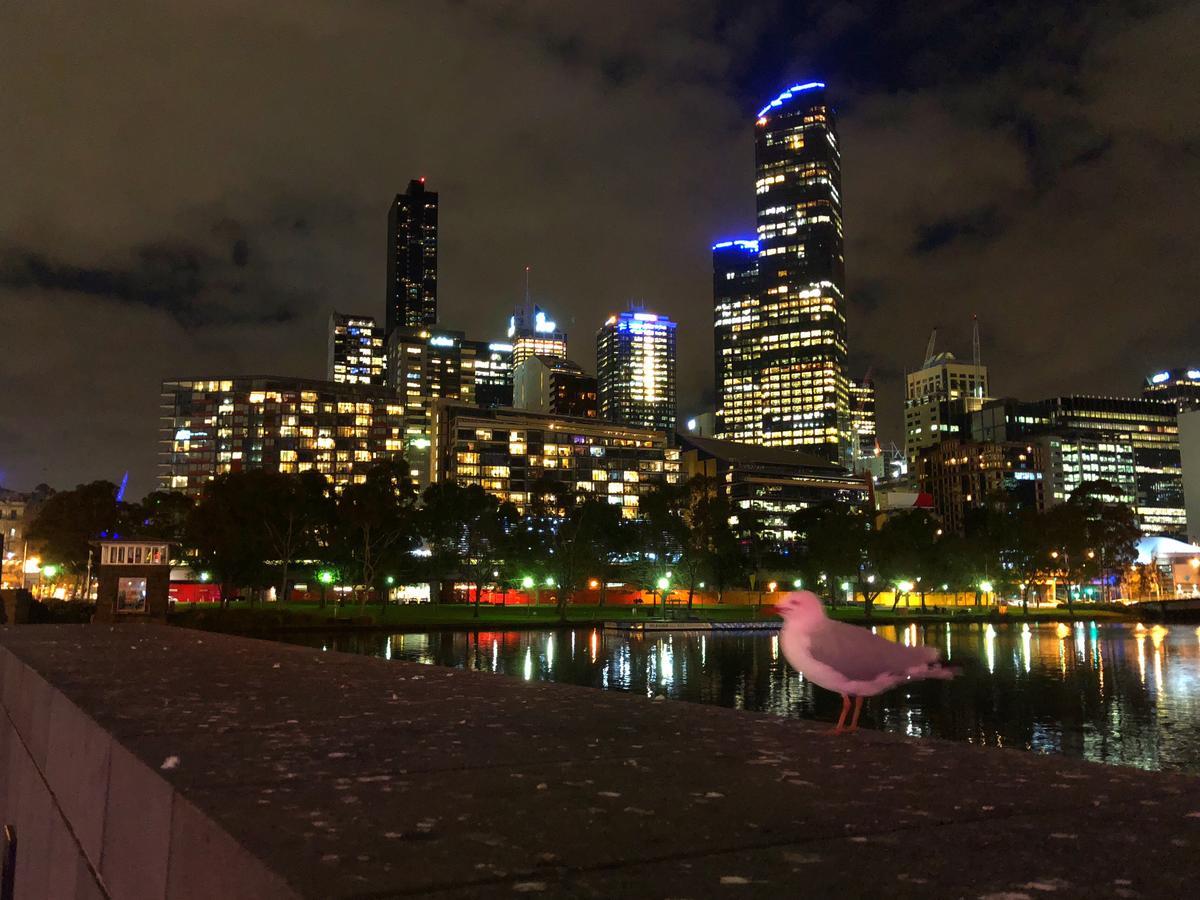 Melbourne River Views Екстер'єр фото